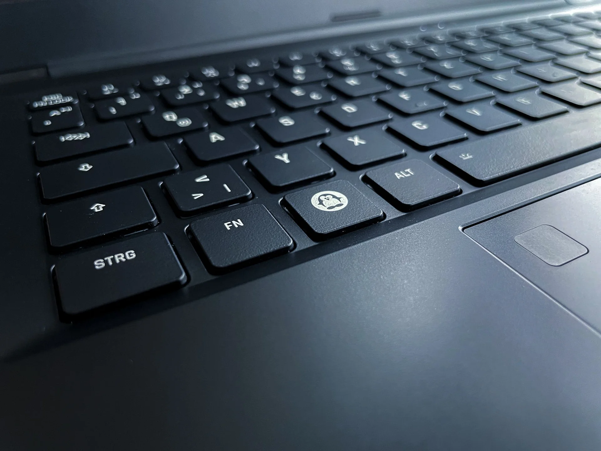 Digital Independence Day